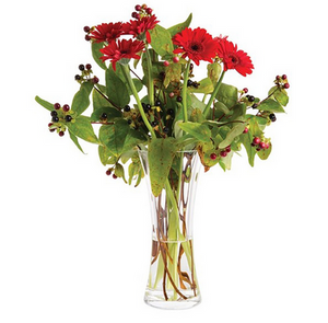 CARNATION VASE CARNATION VASE