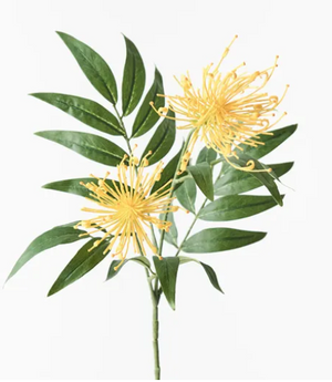 GREVILLEA SPRAY YELLOW GREVILLEA SPRAY YELLOW