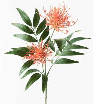 GREVILLEA SPRAY ORANGE GREVILLEA SPRAY ORANGE