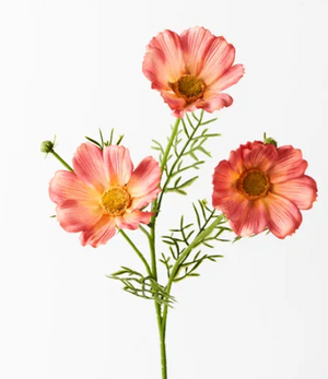 COSMOS SPRAY - ORANGE COSMOS SPRAY - ORANGE