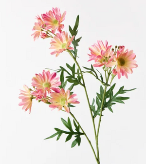 DAISY SPRAY PINK MAUVE DAISY SPRAY PINK MAUVE