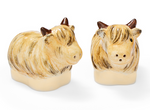 BUTTERCUP - SALT & PEPPER SHAKER