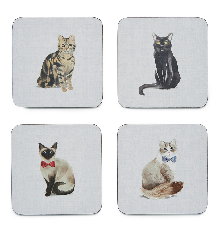 CURIOUS CATS - COASTERS