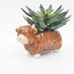 HIGHLAND COW PLANTER