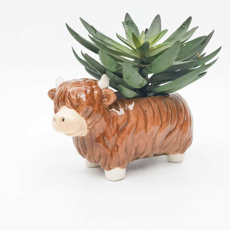 HIGHLAND COW PLANTER