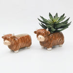 HIGHLAND COW PLANTER