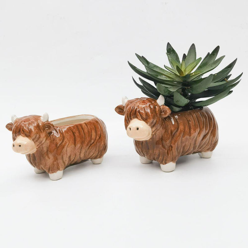 HIGHLAND COW PLANTER