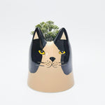 BAILEY CAT PLANTER BLACK AND WHITE