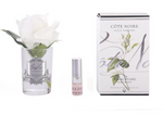 ROSE BUD - IVORY