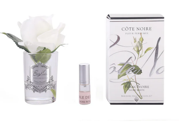 ROSE BUD - IVORY