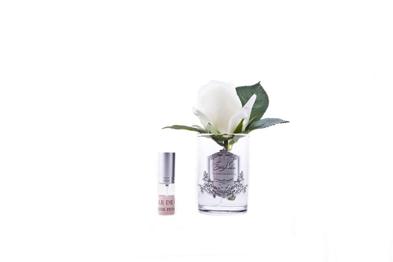 ROSE BUD - IVORY
