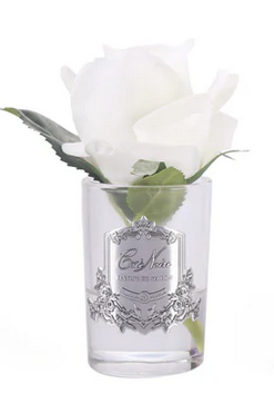 ROSE BUD - IVORY