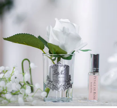 ROSE BUD - IVORY