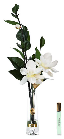 SUMMER MAGNOLIA