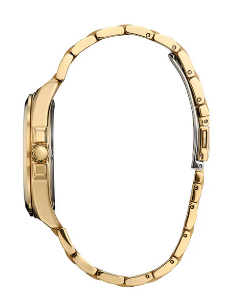 CITIZEN GENTS ECO DRIVE