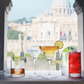 LUIGI BORMIOLI ROMA MARTINI GLASSES