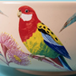ROSELLA BOWL