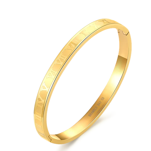 STEEL ROMAN NUMERALS GOLD PLATED BANGLE